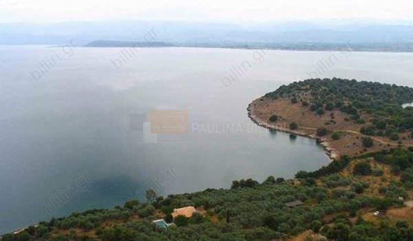 Οικόπεδο, μονοκατοικία - Plot and single family house